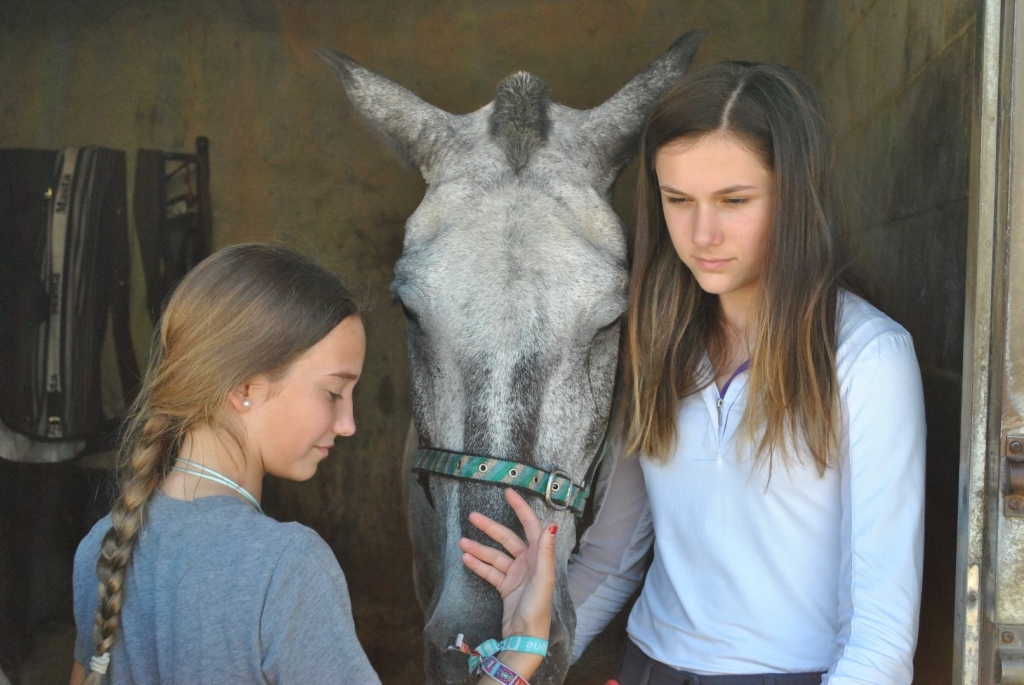 Village Camps International Summer Camp England 2024-07-27 https://www.villagecamps.com/journals_admin/images/1994-2126-DSC_3284.jpg