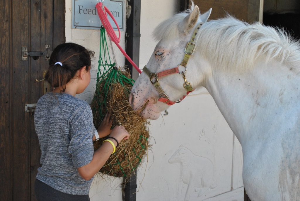 Village Camps International Summer Camp England 2024-07-27 https://www.villagecamps.com/journals_admin/images/1994-2127-DSC_3294.jpg