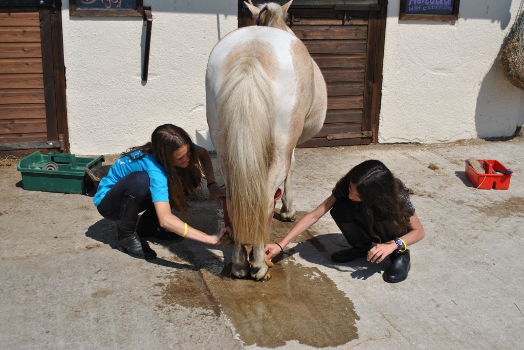 Village Camps International Summer Camp England 2024-07-27 https://www.villagecamps.com/journals_admin/images/1994-2127-DSC_3308.jpg