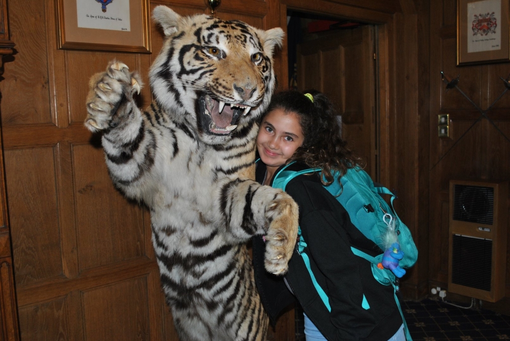 Village Camps International Summer Camp England 2024-07-27 https://www.villagecamps.com/journals_admin/images/2045-3117-DSC_5843.jpg