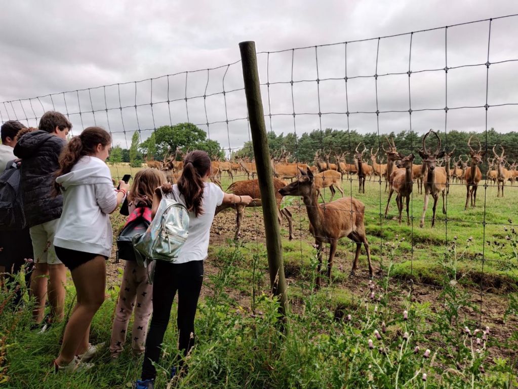 Village Camps International Summer Camp England 2024-07-27 https://www.villagecamps.com/journals_admin/images/2092-1263-IMG-20180803-WA0050.jpg