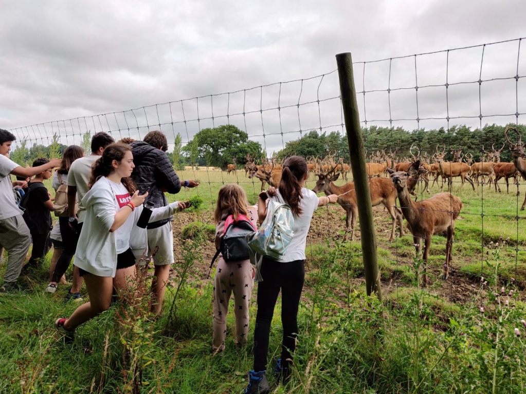Village Camps International Summer Camp England 2024-07-27 https://www.villagecamps.com/journals_admin/images/2092-1263-IMG-20180803-WA0061.jpg Village Camps International Summer Camp England 2024-07-27 https://www.villagecamps.com/journals_admin/images/2092-1263-IMG-20180803-WA0061.jpg