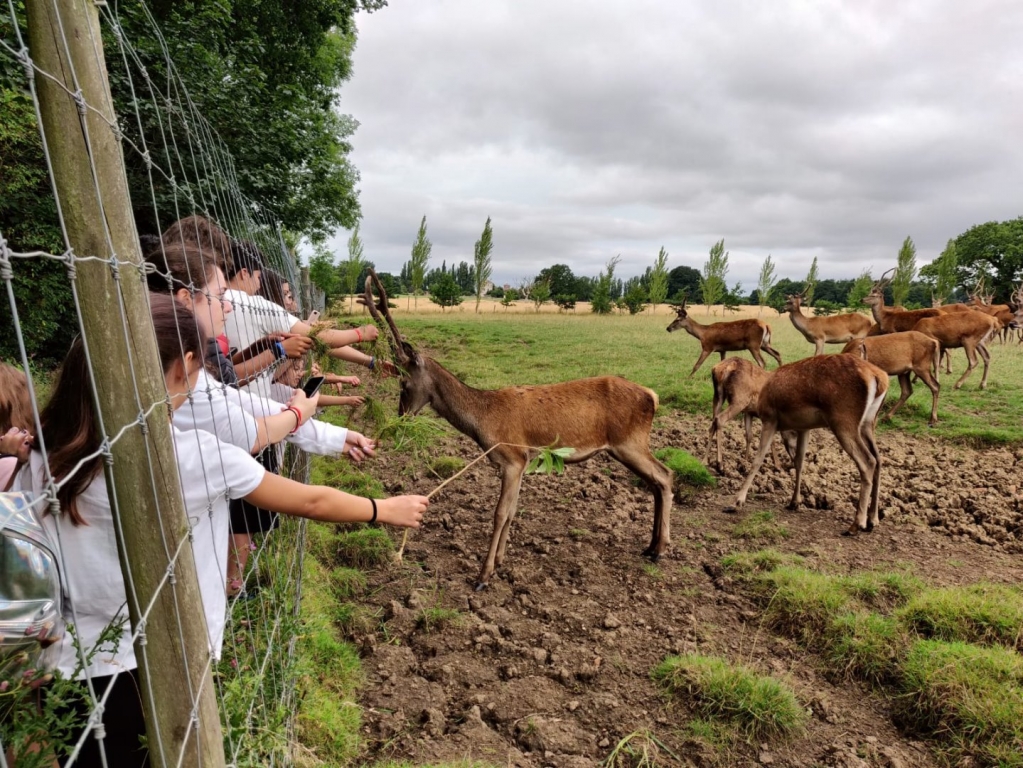 Village Camps International Summer Camp England 2024-07-27 https://www.villagecamps.com/journals_admin/images/2092-1269-IMG-20180803-WA0019.jpg