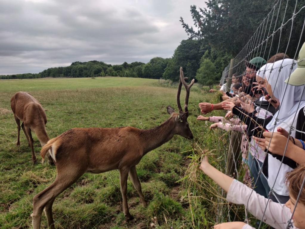 Village Camps International Summer Camp England 2024-07-27 https://www.villagecamps.com/journals_admin/images/2092-1269-IMG-20180803-WA0025.jpg Village Camps International Summer Camp England 2024-07-27 https://www.villagecamps.com/journals_admin/images/2092-1269-IMG-20180803-WA0025.jpg