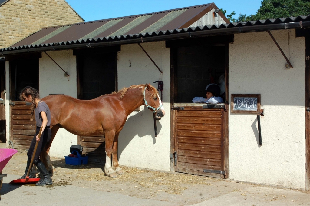 Village Camps International Summer Camp England 2024-07-27 https://www.villagecamps.com/journals_admin/images/2212-5742-10.jpg