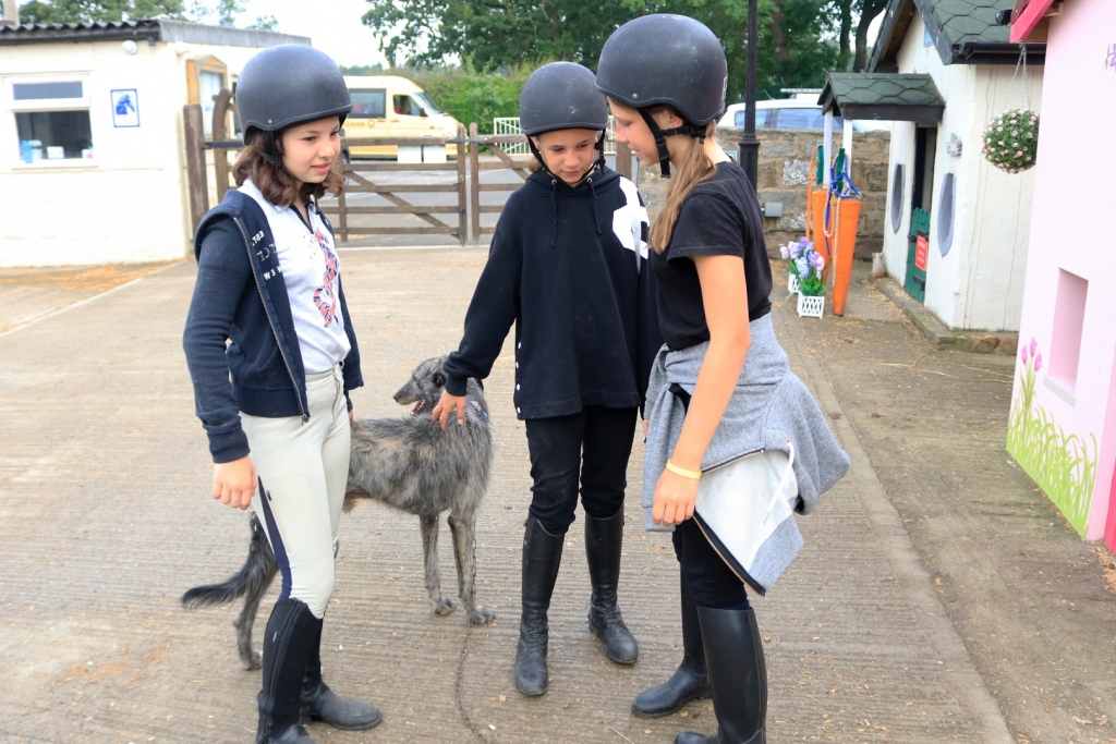 Village Camps International Summer Camp England 2024-07-27 https://www.villagecamps.com/journals_admin/images/2220-1943-_MG_8240.jpg