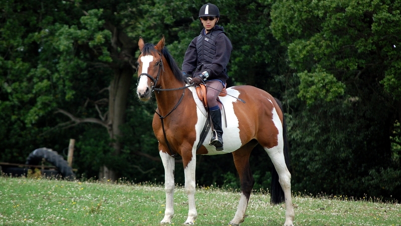 Village Camps International Summer Camp England 2024-07-27 https://www.villagecamps.com/journals_admin/images/225-2-DSC_0491.jpg