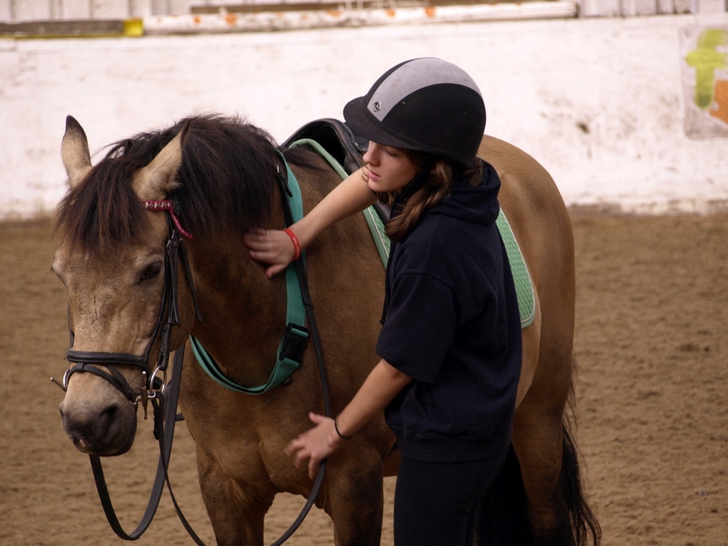 Village Camps International Summer Camp England 2024-07-27 https://www.villagecamps.com/journals_admin/images/2311-8246-_1014264.jpg Village Camps International Summer Camp England 2024-07-27 https://www.villagecamps.com/journals_admin/images/2311-8246-_1014264.jpg