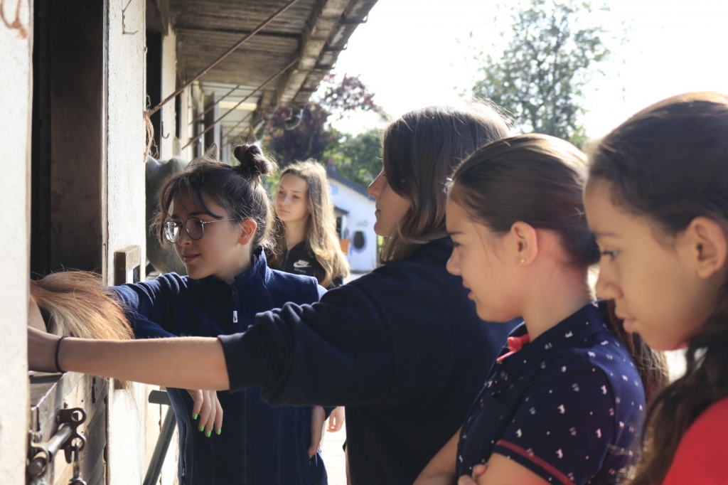 Village Camps International Summer Camp England 2024-07-27 https://www.villagecamps.com/journals_admin/images/2311-8247-_MG_2133.jpg Village Camps International Summer Camp England 2024-07-27 https://www.villagecamps.com/journals_admin/images/2311-8247-_MG_2133.jpg