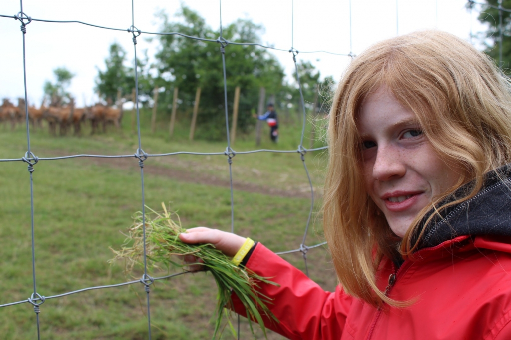 Village Camps International Summer Camp England 2024-07-27 https://www.villagecamps.com/journals_admin/images/2315-4440-IMG_1064.jpg