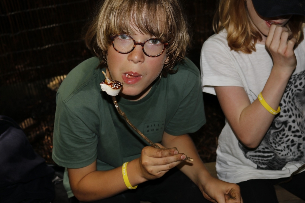 Village Camps International Summer Camp England 2024-07-27 https://www.villagecamps.com/journals_admin/images/2320-1647-_MG_0115.jpg Village Camps International Summer Camp England 2024-07-27 https://www.villagecamps.com/journals_admin/images/2320-1647-_MG_0115.jpg