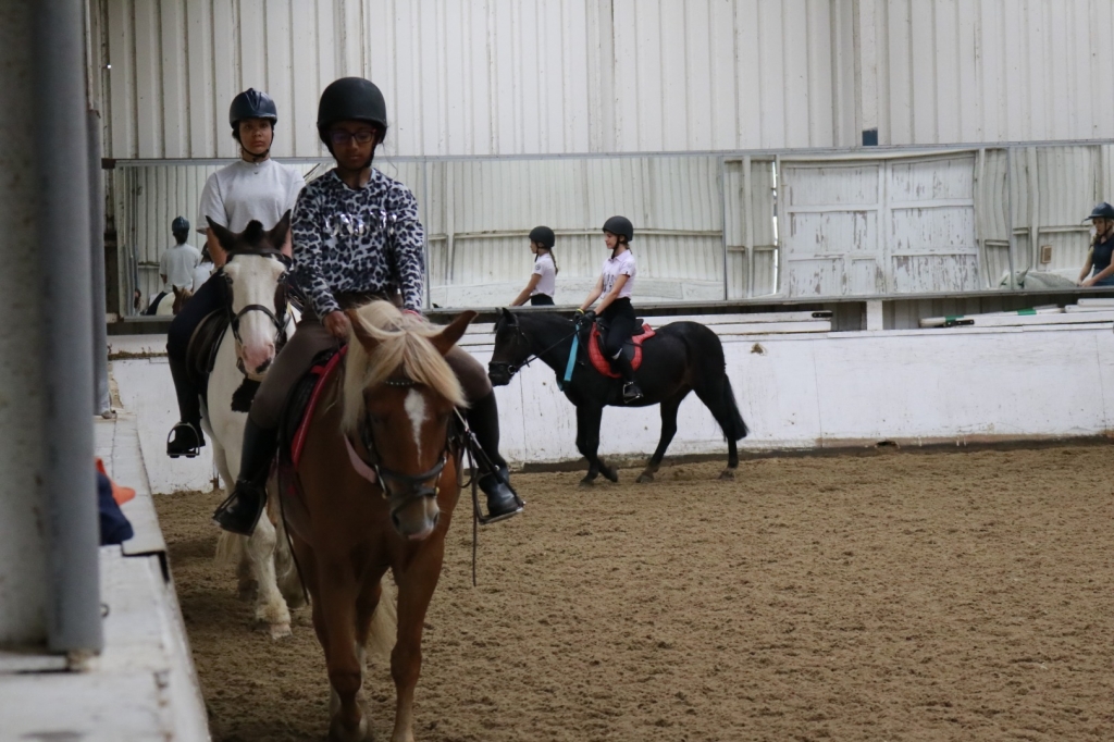 Village Camps International Summer Camp England 2024-07-27 https://www.villagecamps.com/journals_admin/images/2350-8062-_MG_9589.jpg