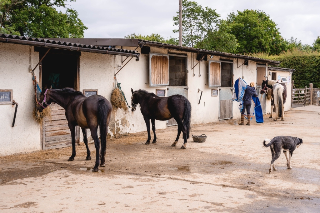 Village Camps International Summer Camp England 2024-07-27 https://www.villagecamps.com/journals_admin/images/2710-5600-_DSC7943.jpg