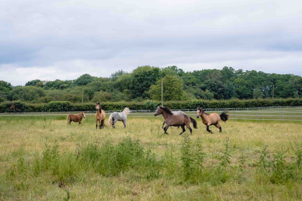 Village Camps International Summer Camp England 2024-07-27 https://www.villagecamps.com/journals_admin/images/2719-3592-Village_Camps_York_day10_49.jpg