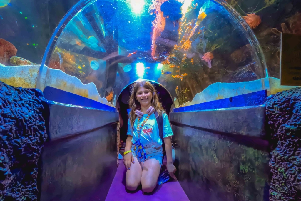 Village Camps International Summer Camp England 2024-07-27 https://www.villagecamps.com/journals_admin/images/2770-6003-Village_Camps_York_day10_05.jpg