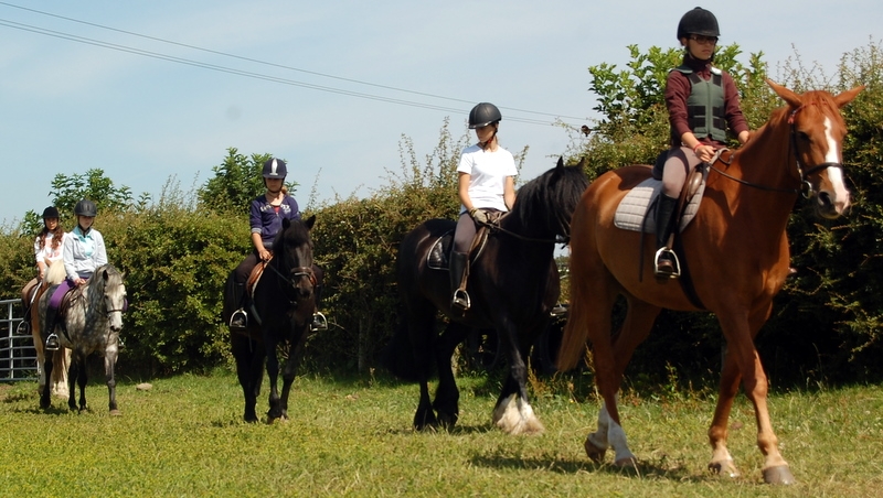 Village Camps International Summer Camp England 2024-07-27 https://www.villagecamps.com/journals_admin/images/352-2-DSC_0294.jpg