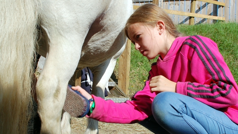 Village Camps International Summer Camp England 2024-07-27 https://www.villagecamps.com/journals_admin/images/381-2-DSC_0007.jpg