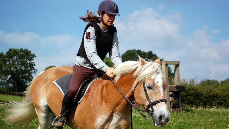Village Camps International Summer Camp England 2024-07-27 https://www.villagecamps.com/journals_admin/images/381-2-DSC_0129.jpg
