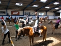 Village Camps International Summer Camp England 2012-07-05
