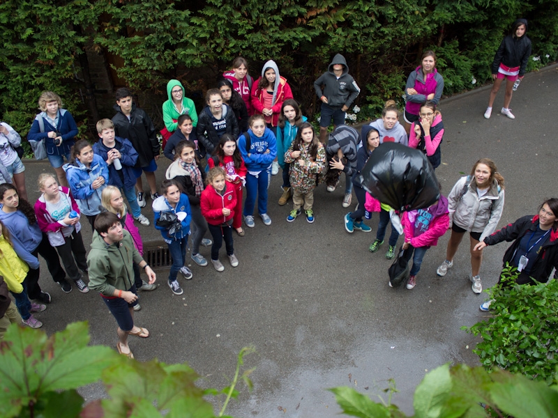 Village Camps International Summer Camp England 2024-07-27 https://www.villagecamps.com/journals_admin/images/450-34-IMG_4137.jpg Village Camps International Summer Camp England 2024-07-27 https://www.villagecamps.com/journals_admin/images/450-34-IMG_4137.jpg