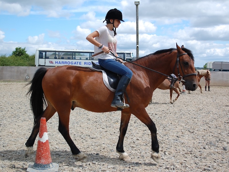 Village Camps International Summer Camp England 2024-07-27 https://www.villagecamps.com/journals_admin/images/494-2-DSC_0119.jpg