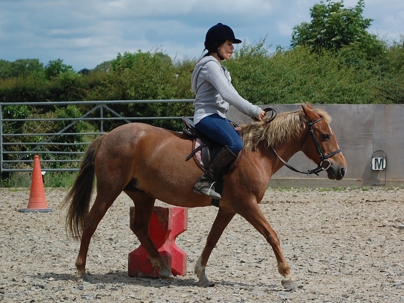 Village Camps International Summer Camp England 2024-07-27 https://www.villagecamps.com/journals_admin/images/494-2-DSC_0131.jpg