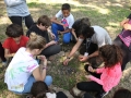 Village Camps International Summer Camp England 2013-07-09