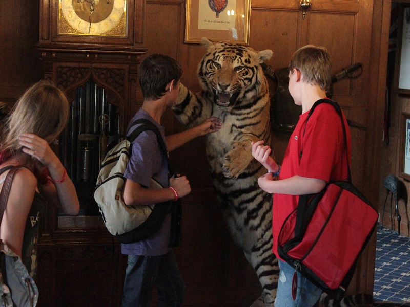 Village Camps International Summer Camp England 2024-07-27 https://www.villagecamps.com/journals_admin/images/734-34--27.jpg