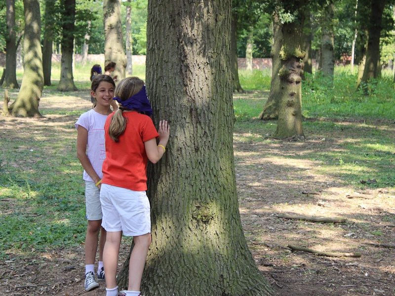 Village Camps International Summer Camp England 2024-07-27 https://www.villagecamps.com/journals_admin/images/739-34-untitled-32.jpg Village Camps International Summer Camp England 2024-07-27 https://www.villagecamps.com/journals_admin/images/739-34-untitled-32.jpg