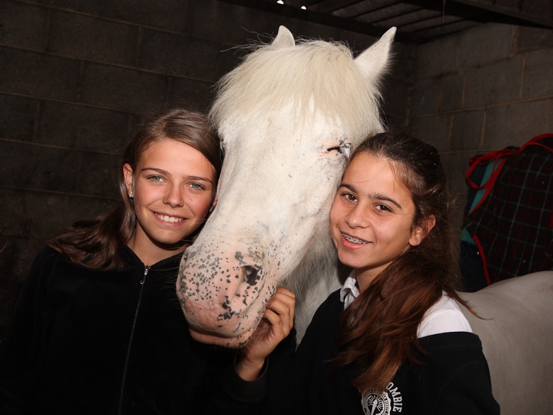 Village Camps International Summer Camp England 2024-07-27 https://www.villagecamps.com/journals_admin/images/752-2-untitled-3.jpg