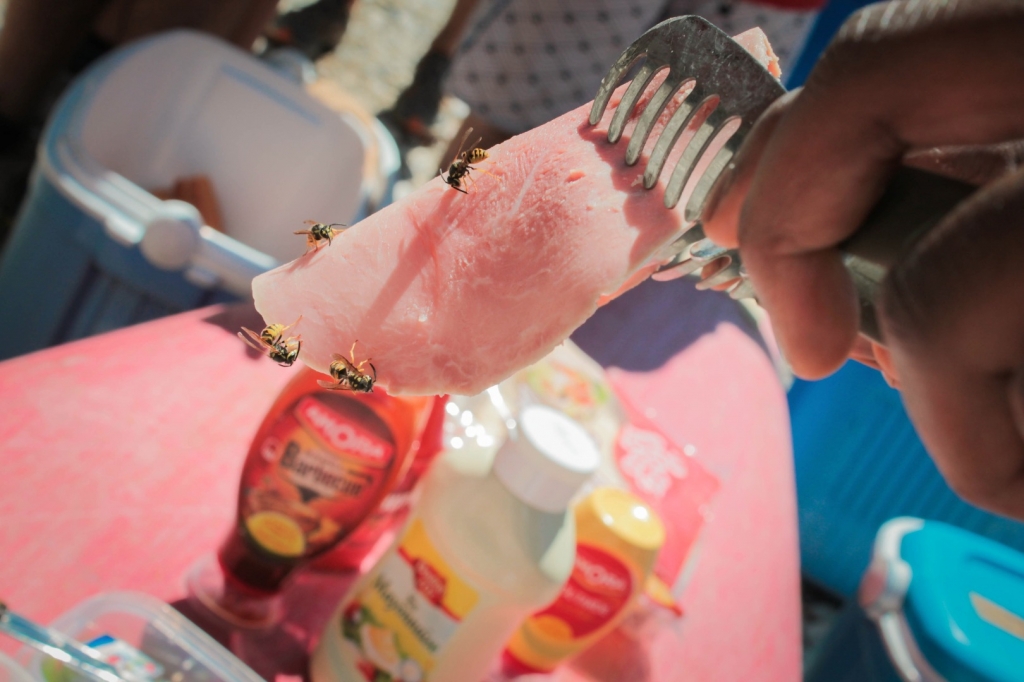 Village Camps International Summer Camp Ard&egrave;che, France 2019-07-26 https://www.villagecamps.com/journals_admin/images/1490-4737-IMG_9597.jpg