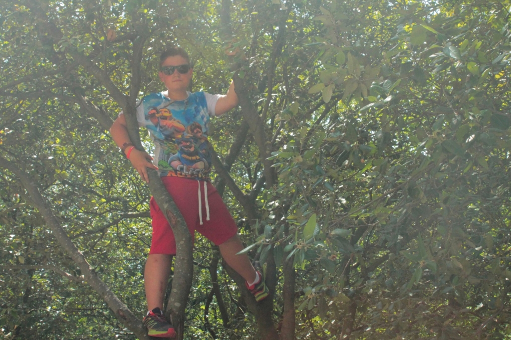 Village Camps International Summer Camp Ard&egrave;che, France 2019-07-26 https://www.villagecamps.com/journals_admin/images/1498-9581-IMG_0817.jpg