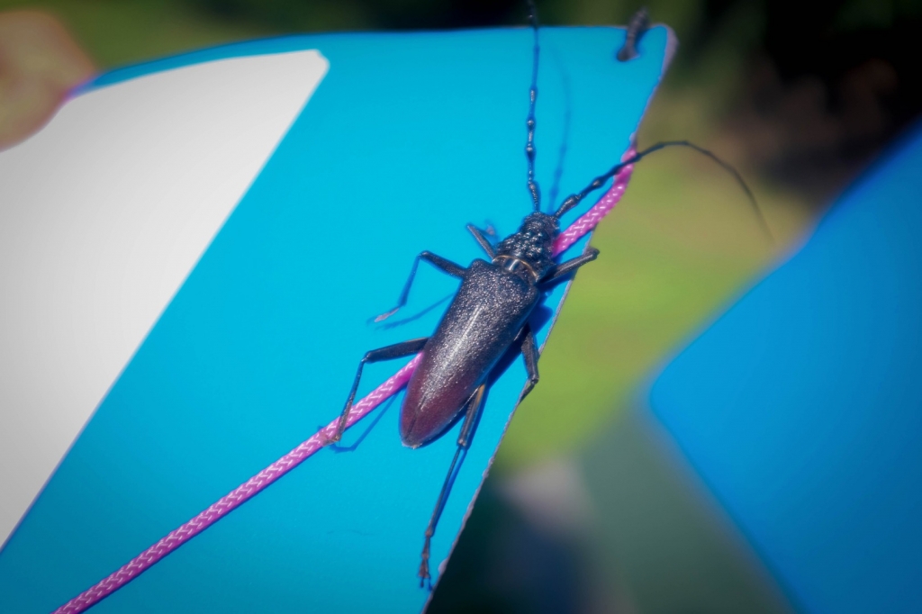 Village Camps International Summer Camp Ardèche, France 2019-07-26 https://www.villagecamps.com/journals_admin/images/1502-3530-DSCF0768.jpg Village Camps International Summer Camp Ardèche, France 2019-07-26 https://www.villagecamps.com/journals_admin/images/1502-3530-DSCF0768.jpg