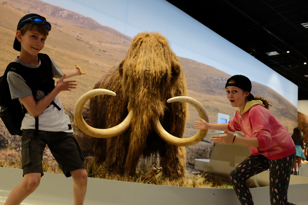 Village Camps International Summer Camp Ard&egrave;che, France 2019-07-26 https://www.villagecamps.com/journals_admin/images/1724-8715-DSCF8348.jpg