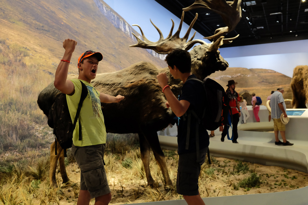 Village Camps International Summer Camp Ardèche, France 2019-07-26 https://www.villagecamps.com/journals_admin/images/1724-8755-DSCF8352.jpg Village Camps International Summer Camp Ardèche, France 2019-07-26 https://www.villagecamps.com/journals_admin/images/1724-8755-DSCF8352.jpg