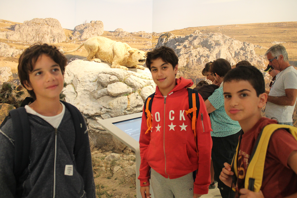 Village Camps International Summer Camp Ard&egrave;che, France 2019-07-26 https://www.villagecamps.com/journals_admin/images/1897-9000-IMG_4335.jpg
