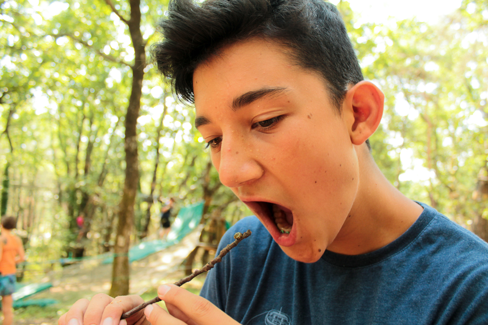 Village Camps International Summer Camp Ard&egrave;che, France 2019-07-26 https://www.villagecamps.com/journals_admin/images/1900-0659-IMG_4990.jpg