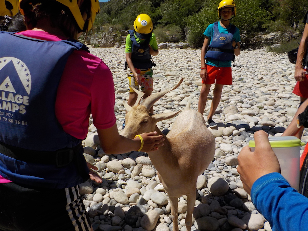 Village Camps International Summer Camp Ard&egrave;che, France 2019-07-26 https://www.villagecamps.com/journals_admin/images/1957-1299-DSCN4009.jpg