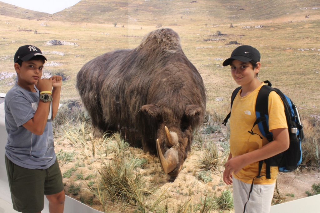 Village Camps International Summer Camp Ard&egrave;che, France 2019-07-26 https://www.villagecamps.com/journals_admin/images/2157-3750-IMG_0134.jpg