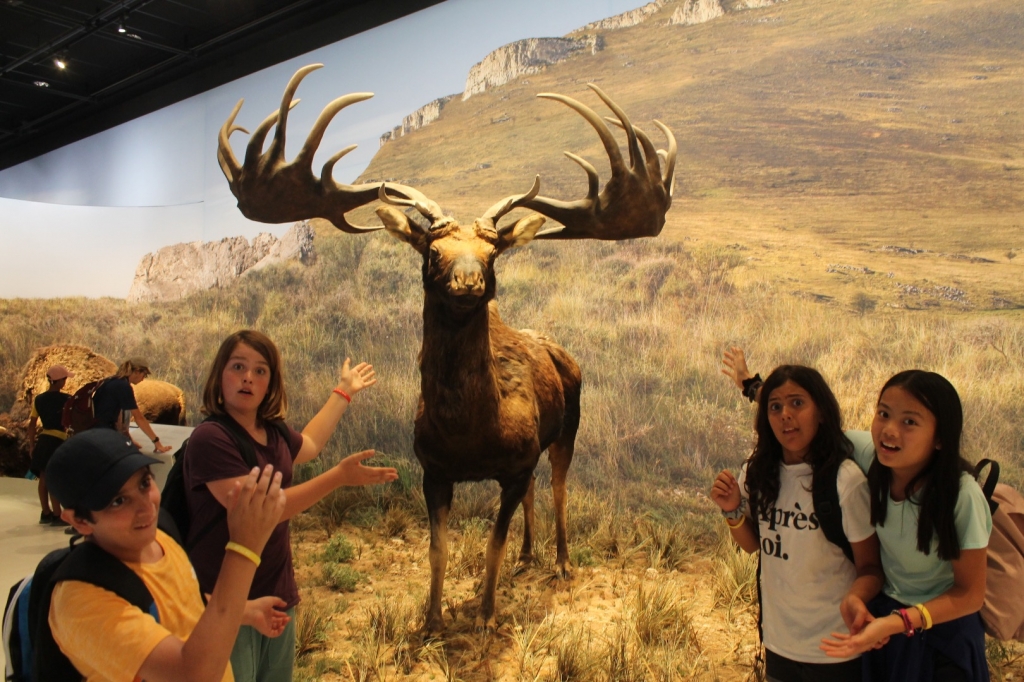 Village Camps International Summer Camp Ardèche, France 2019-07-26 https://www.villagecamps.com/journals_admin/images/2157-3759-IMG_0138.jpg Village Camps International Summer Camp Ardèche, France 2019-07-26 https://www.villagecamps.com/journals_admin/images/2157-3759-IMG_0138.jpg