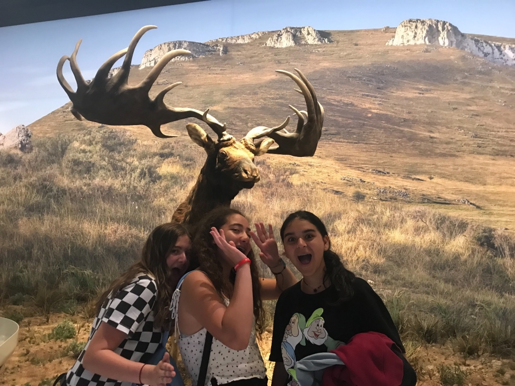 Village Camps International Summer Camp Ardèche, France 2019-07-26 https://www.villagecamps.com/journals_admin/images/2157-3886-IMG_4240.jpg Village Camps International Summer Camp Ardèche, France 2019-07-26 https://www.villagecamps.com/journals_admin/images/2157-3886-IMG_4240.jpg