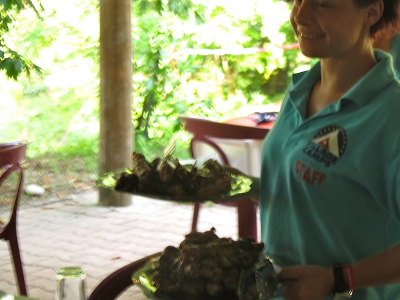 Village Camps International Summer Camp Ardèche, France 2019-07-26 https://www.villagecamps.com/journals_admin/images/432--IMG_1223.JPGlossless.jpg Village Camps International Summer Camp Ardèche, France 2019-07-26 https://www.villagecamps.com/journals_admin/images/432--IMG_1223.JPGlossless.jpg