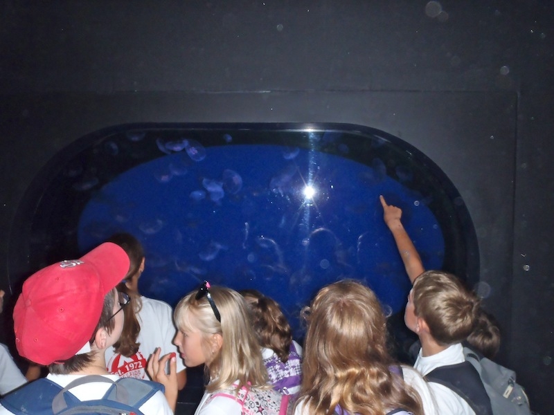 Village Camps International Summer Camp Ard&egrave;che, France 2019-07-26 https://www.villagecamps.com/journals_admin/images/463--P7090963.JPGlossless.jpg