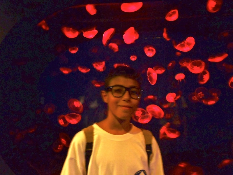 Village Camps International Summer Camp Ard&egrave;che, France 2019-07-26 https://www.villagecamps.com/journals_admin/images/463--P7090967.JPGlossless.jpg