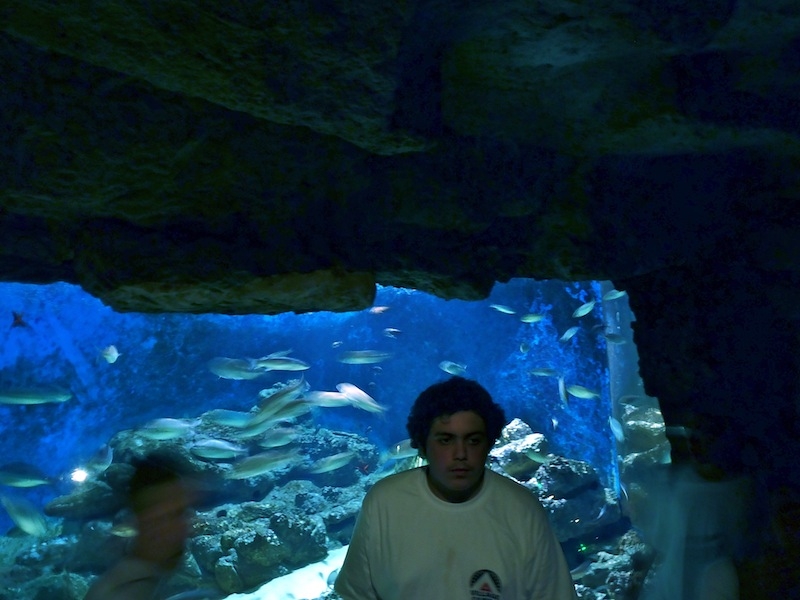 Village Camps International Summer Camp Ard&egrave;che, France 2019-07-26 https://www.villagecamps.com/journals_admin/images/463--P7090971.JPGlossless.jpg