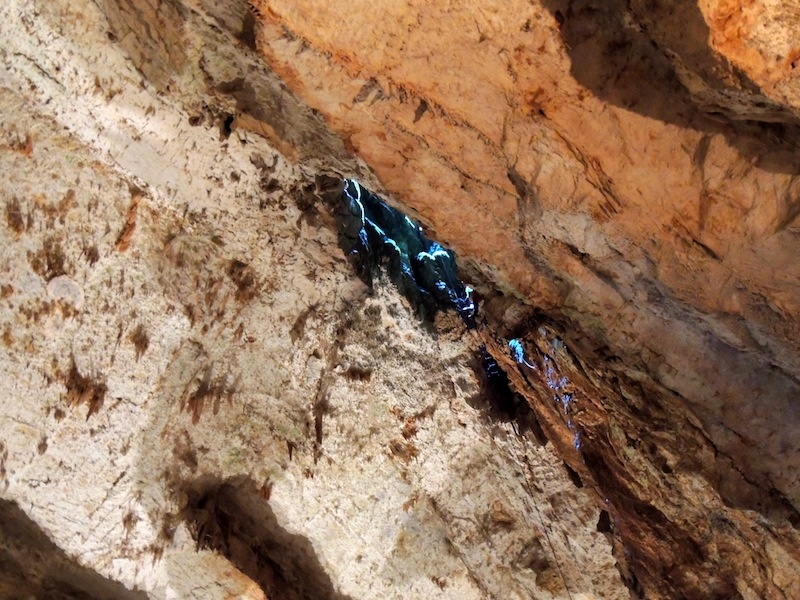 Village Camps International Summer Camp Ard&egrave;che, France 2019-07-26 https://www.villagecamps.com/journals_admin/images/520--DSCN1208.JPGlossless.jpg