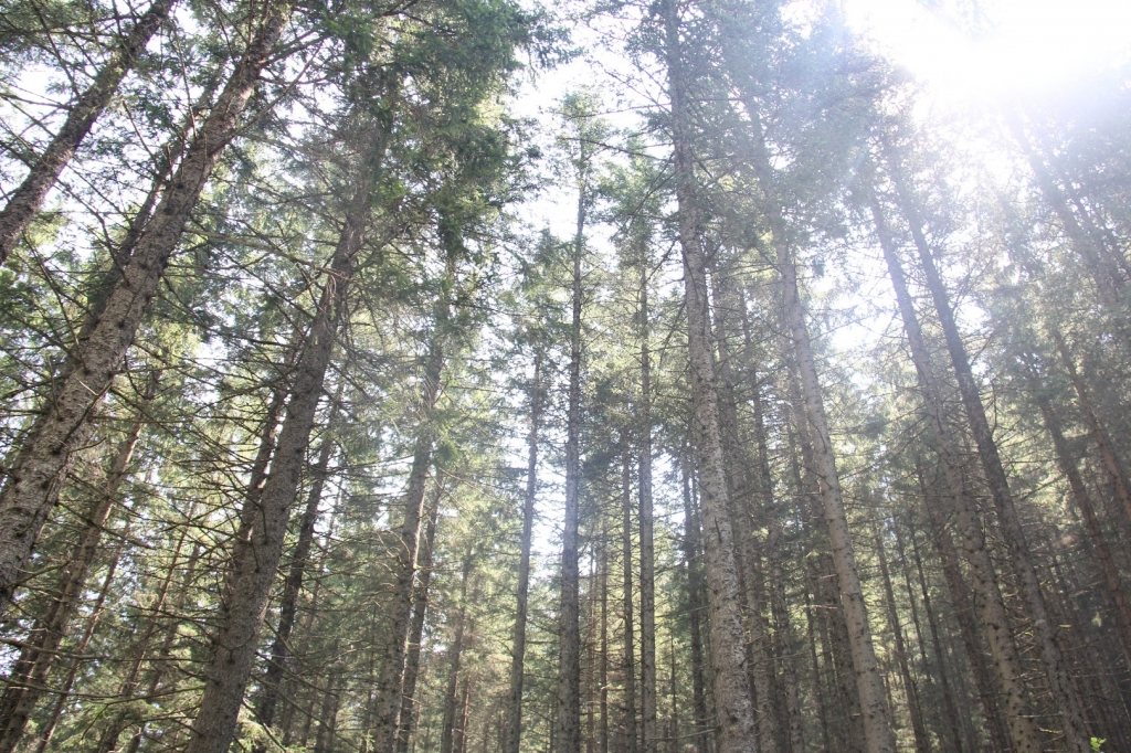 Village Camps International Summer Camp Zell am See, Austria 2026-07-05 https://www.villagecamps.com/journals_admin/images/1372-1123-IMG_9751.jpg Village Camps International Summer Camp Zell am See, Austria 2026-07-05 https://www.villagecamps.com/journals_admin/images/1372-1123-IMG_9751.jpg