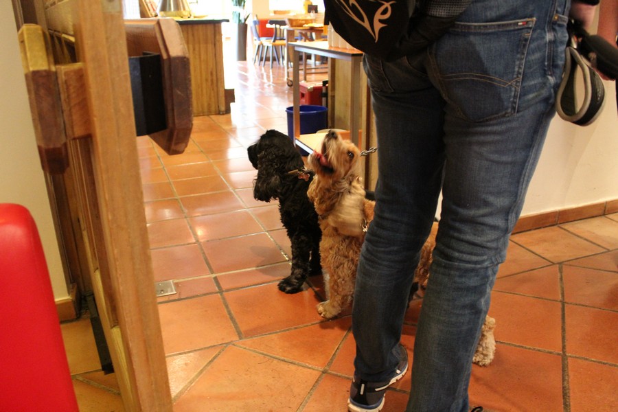 Village Camps International Summer Camp Zell am See, Austria 2025-07-26 https://www.villagecamps.com/journals_admin/images/1522-4216-IMG_0326.jpg