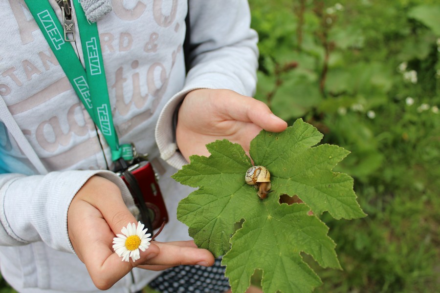 Village Camps International Summer Camp Zell am See, Austria 2026-07-05 https://www.villagecamps.com/journals_admin/images/1528-5311-img_3273.jpg Village Camps International Summer Camp Zell am See, Austria 2026-07-05 https://www.villagecamps.com/journals_admin/images/1528-5311-img_3273.jpg