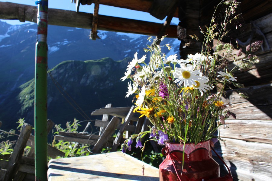 Village Camps International Summer Camp Zell am See, Austria 2025-07-26 https://www.villagecamps.com/journals_admin/images/1529-5751-img_3427.jpg
